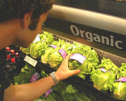 Organik gıdalar gerçekte ne kadar organik?
