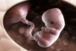 10 maddede hamilelikte tehlike belirtileri