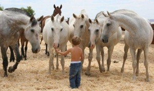 Çocuk gelişiminde atın önemi