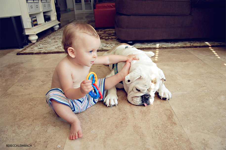 Bir çocuk ve bir köpek: Lola ve Harper'ın muhteşem dostluğu!