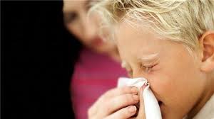 Alerjik hastalıklar ve çevresel etkenler